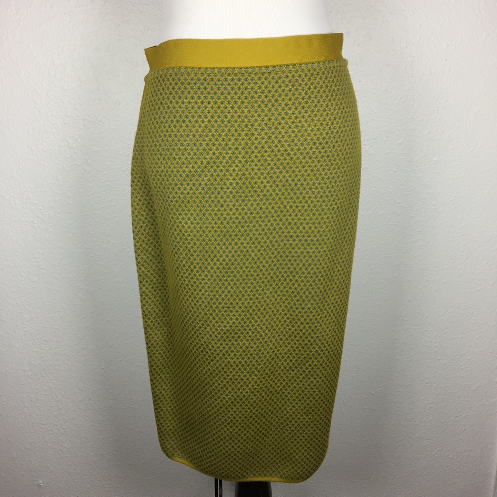 NWT Merino Wool Pencil Skirt